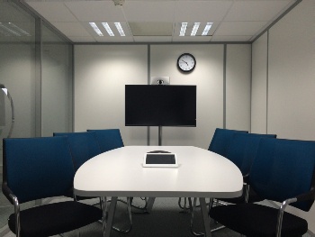 Office Partition - Opaque Glass Door Divider